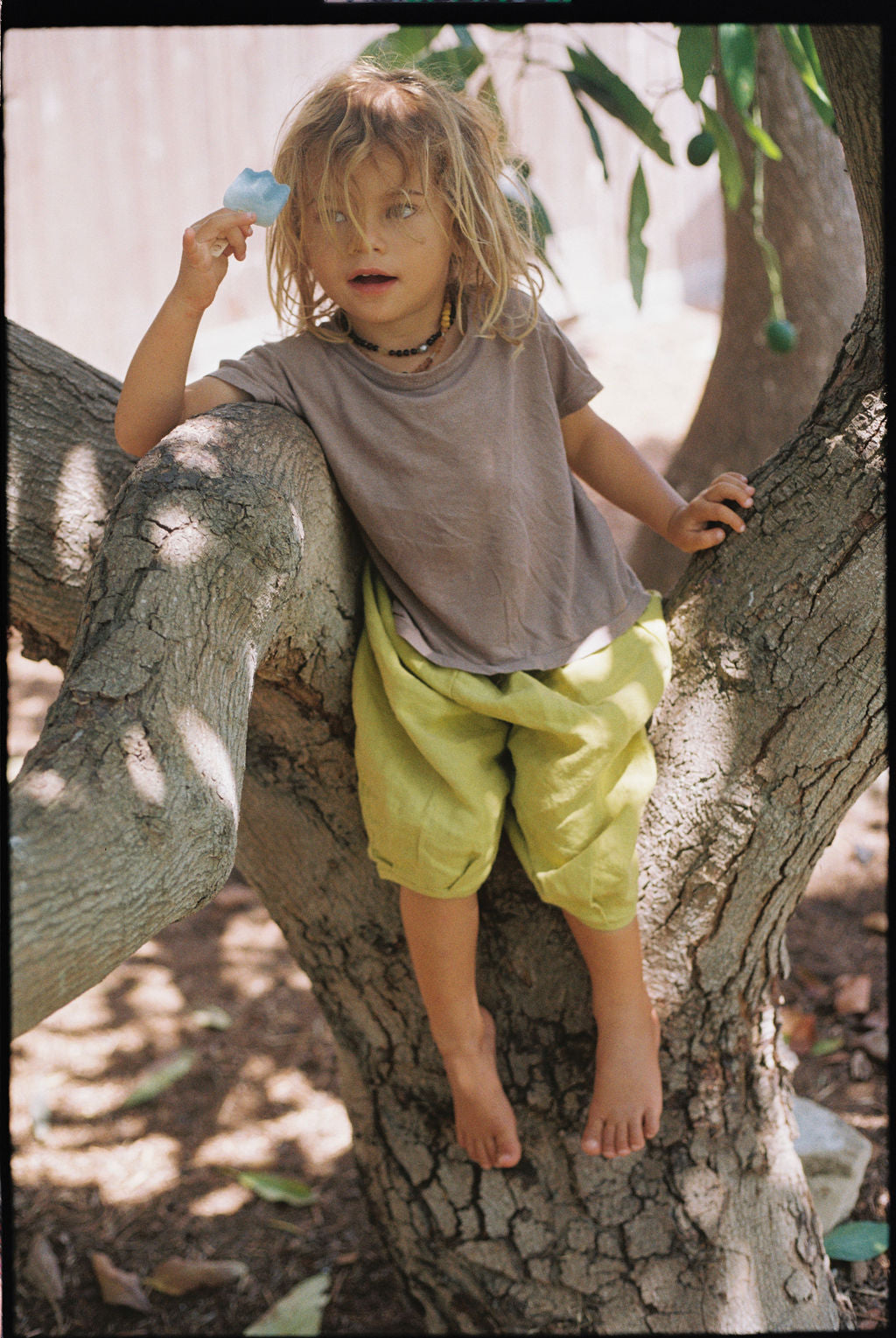 The Wild Pant