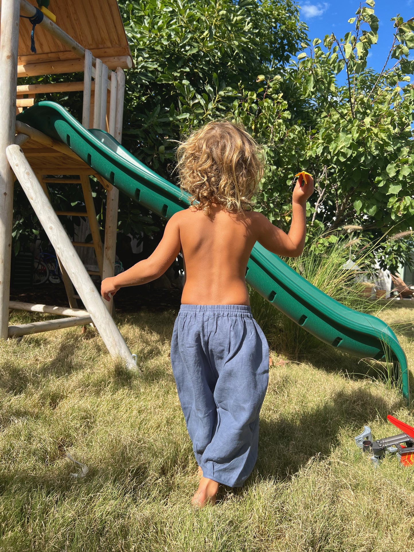 The Wild Pant