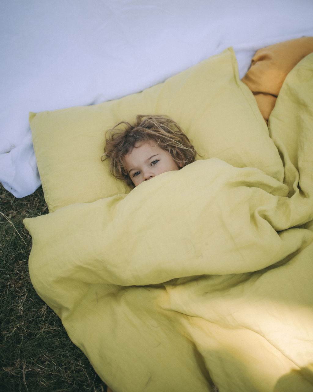Citron Pillowcase Set