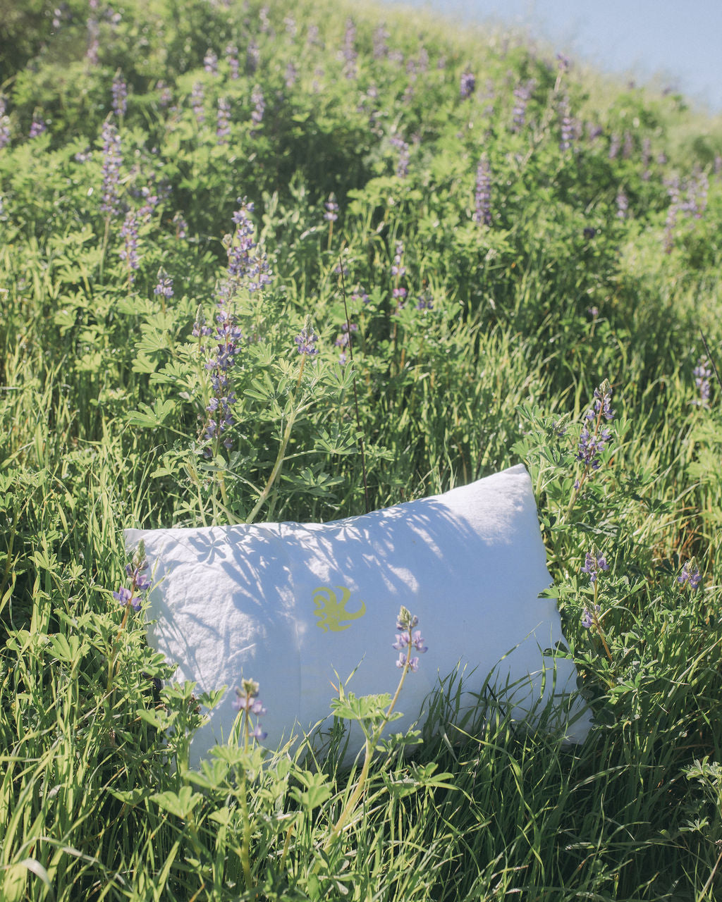 White Pillowcase Set