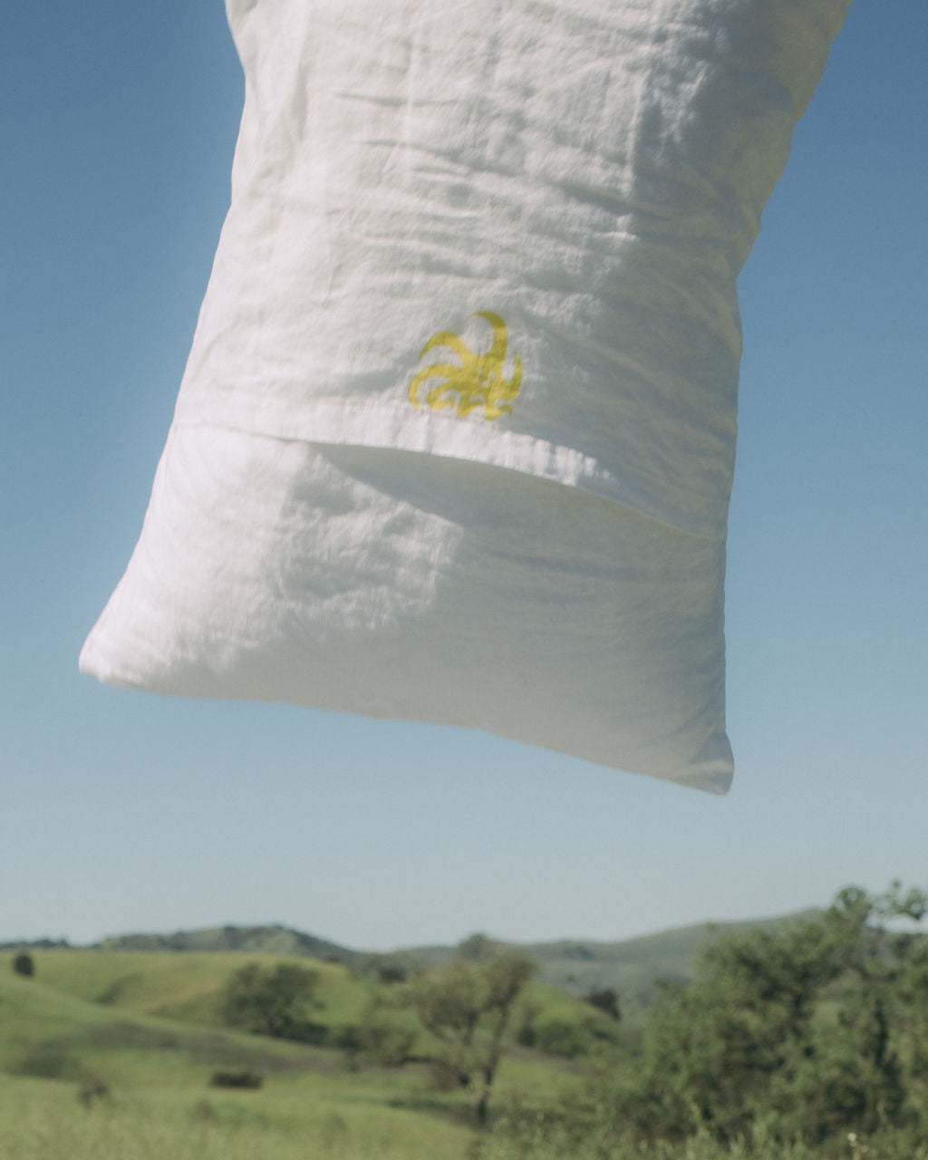 White Pillowcase Set