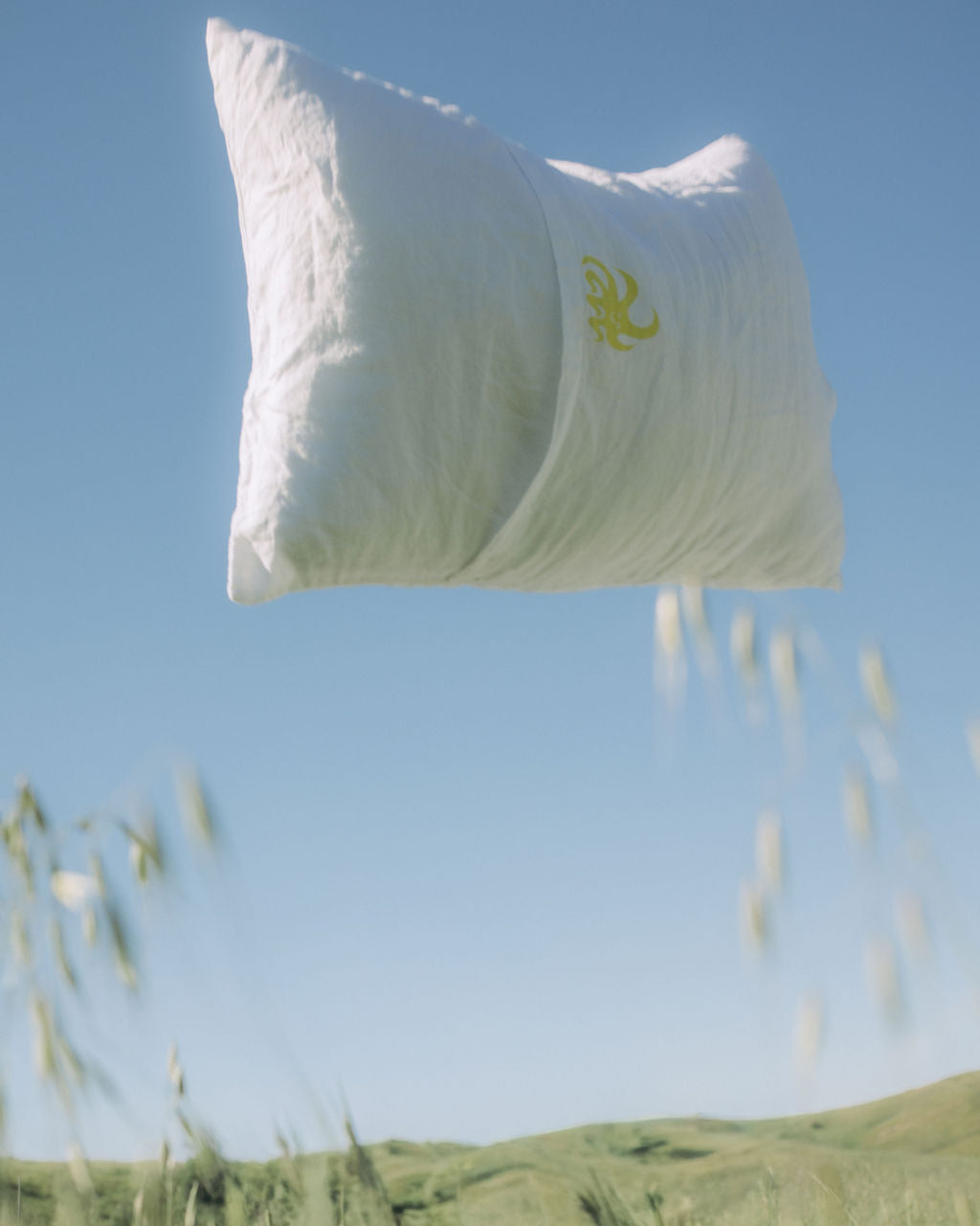 White Pillowcase Set