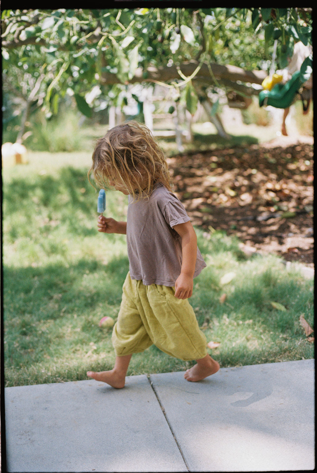 The Wild Pant