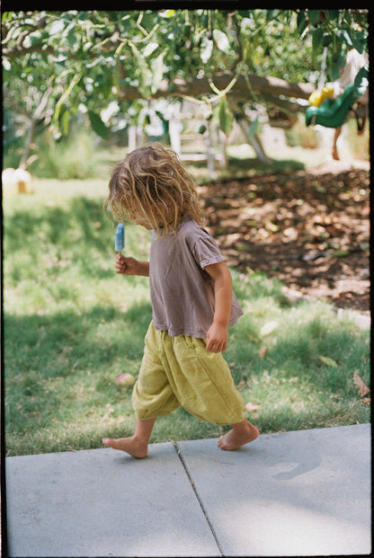 The Wild Pant