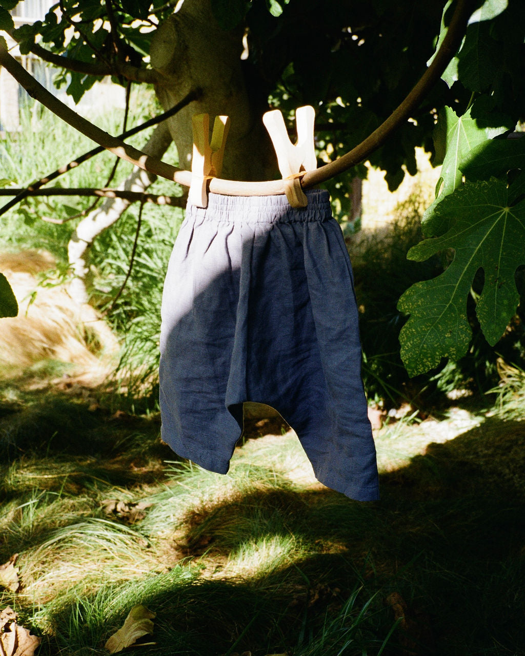 Tide Pant
