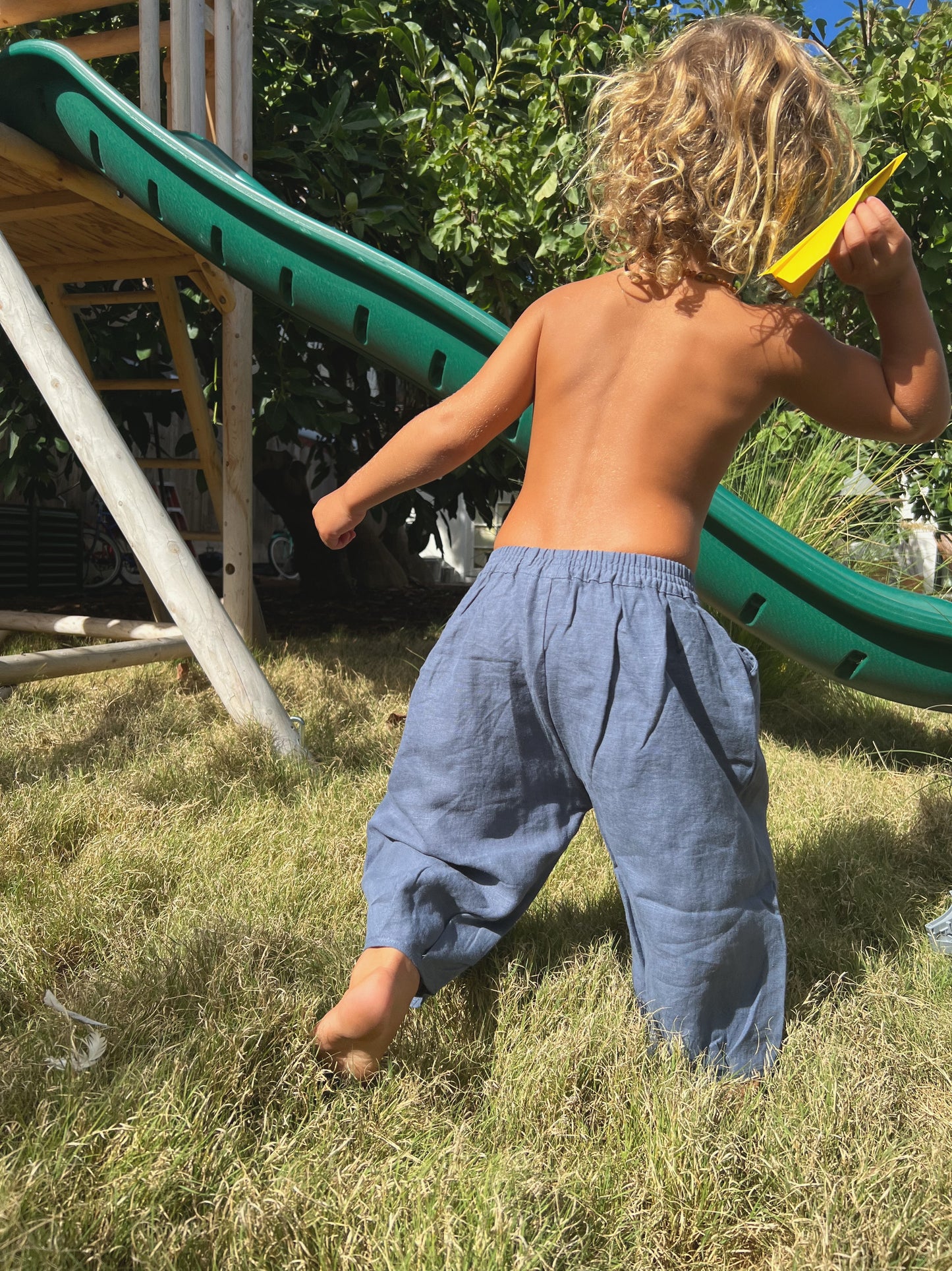 The Wild Pant