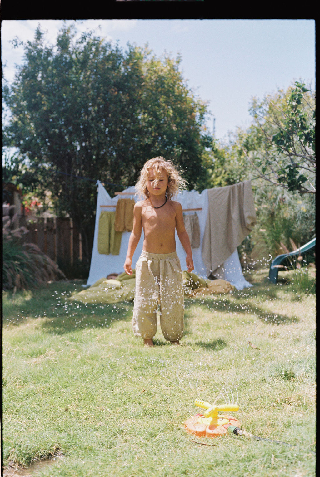 The Wild Pant